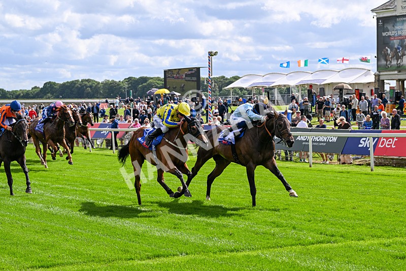 120626-Race 5-Antipodes-7837 - Race 5 16.10pm Sky Bet The World's Gone Football Handicap