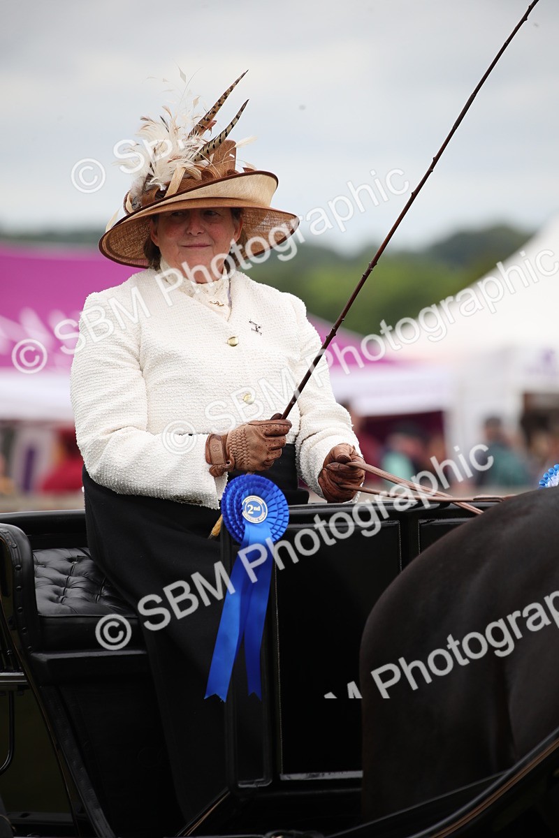 SBM_05795 - Class 12-15 - HOYS Private Driving