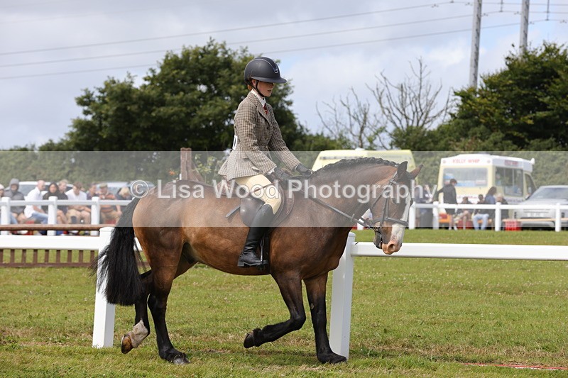 1X9A3957 - Class 32: Show Hunter Pony 153cm and under