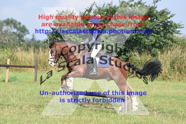 SNCP_0183 - N Group