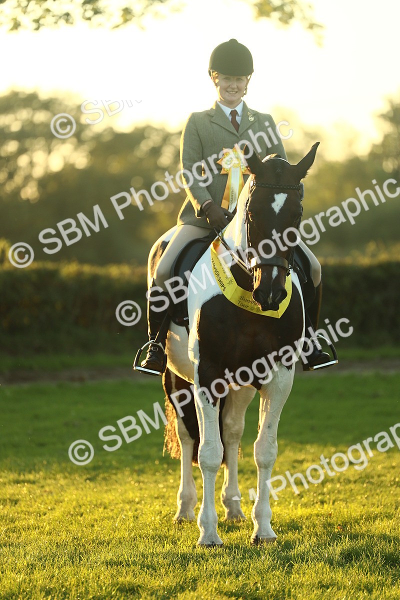 SBM_56634 - Fun & Versatile Supreme Championship