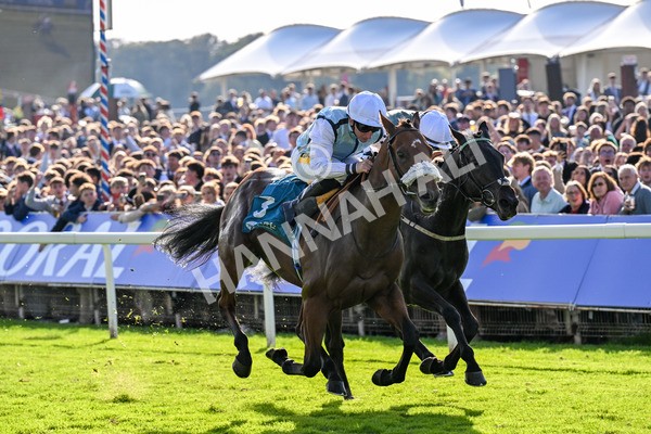 111025-Race 3-Laazm-0353 - Race 3 Coral 'Daily Reward Shaker' For Free Nursery Handicap at York