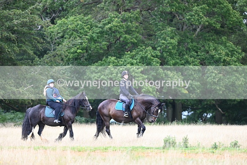 DSC_5120 - Time at Statue 11:10 to 11:42