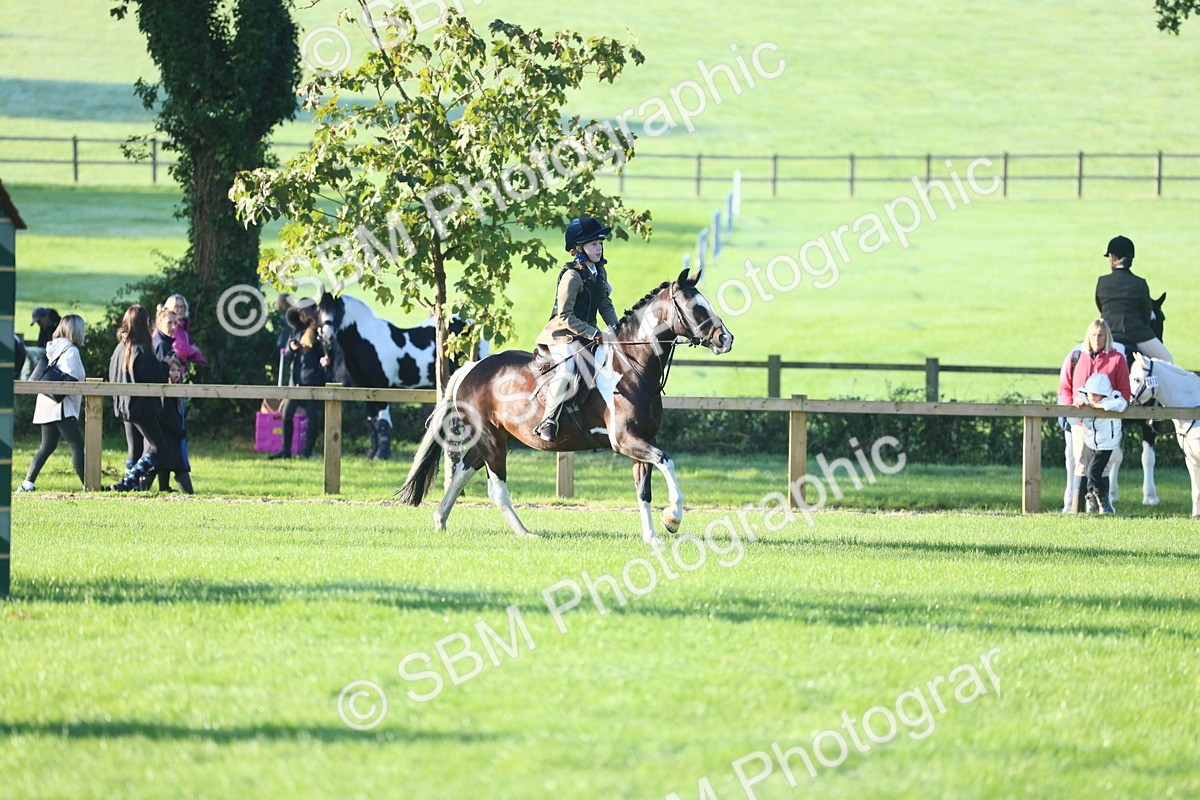 SBM_32235 - S28 - Nursery Stakes Working Hunter Pony