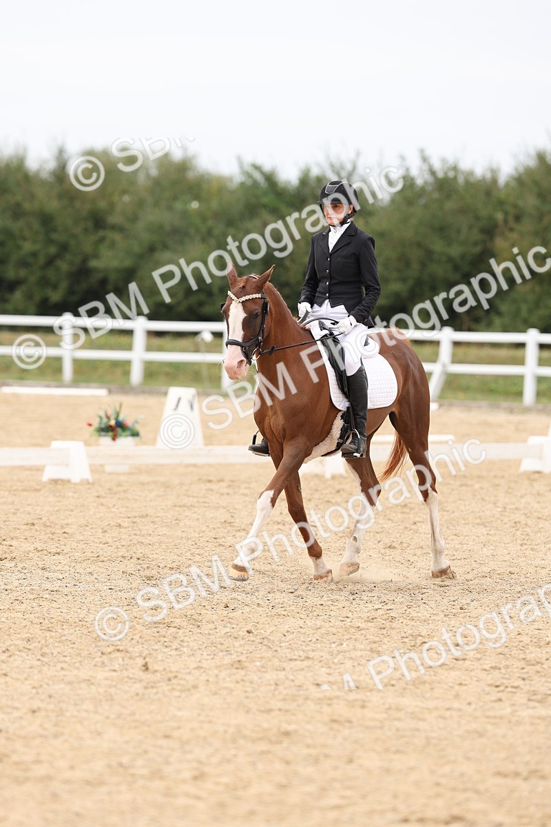 SBM_02092 - Class 8 - Novice 27 Champs