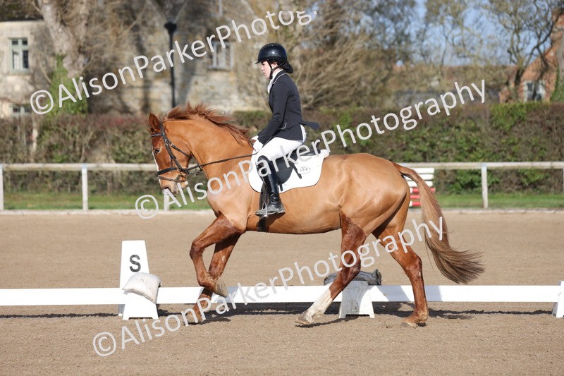 20260128-0322 - Class 3 - Novice 4