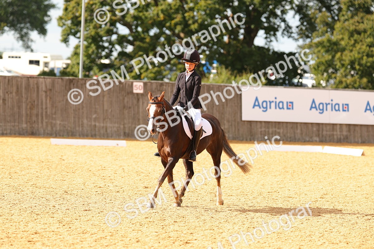 SBM_48374 - D22 - Junior Championship - Intro B