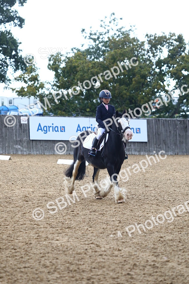 SBM_42591 - D21 - Junior Championship Intro 1