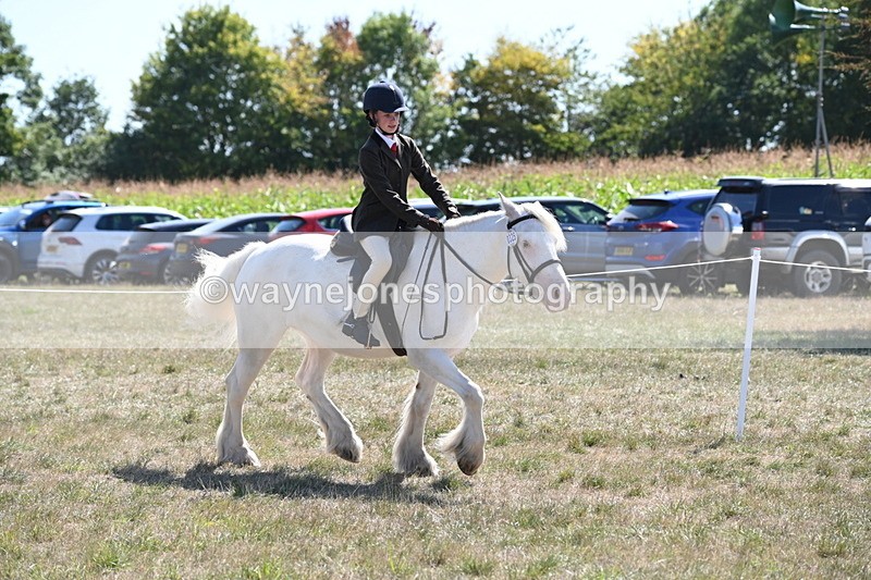 WJ6_8967 - Class 38 Ridden Riding Horse/Pony