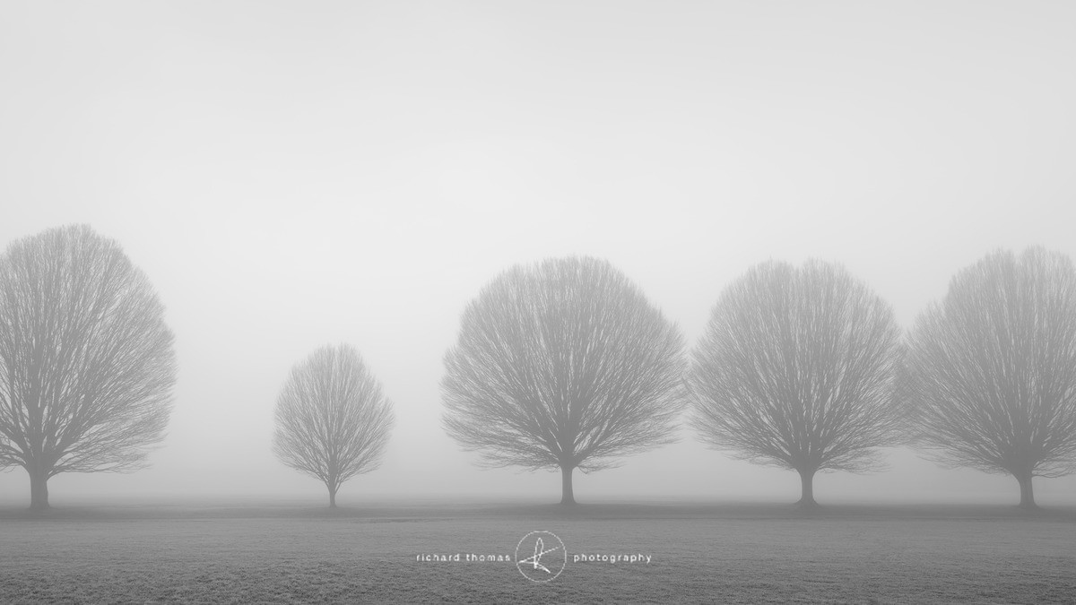 Fastigiata Replacement - Fastigiata