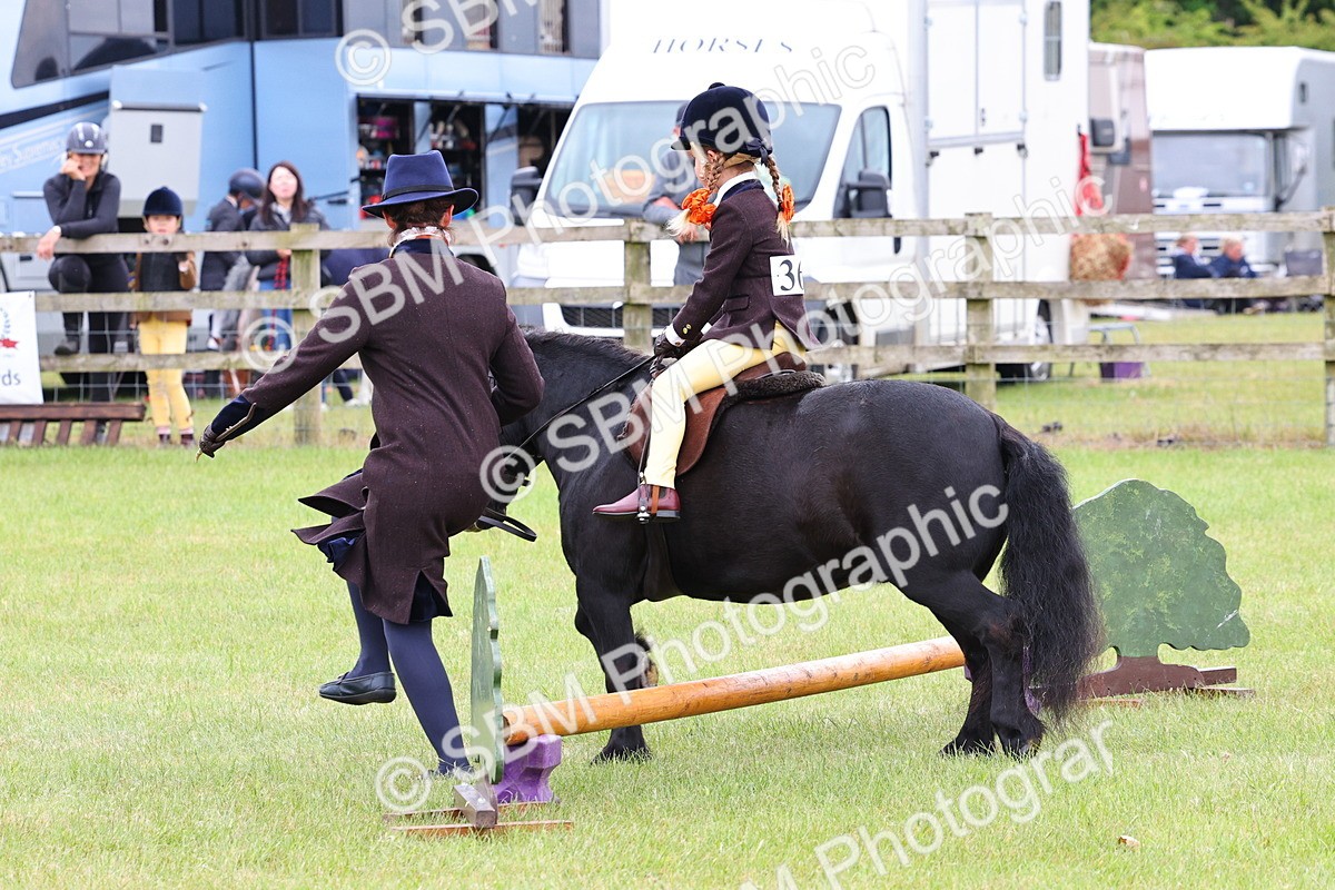 SBM_08162 - Class 42-43 - LIHS BSPS Heritage Working Sports Pony