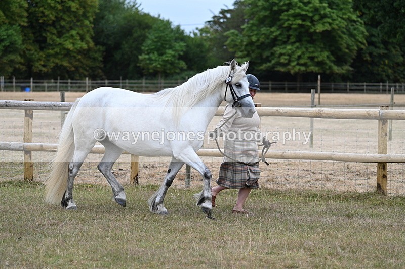 WJ7_8700 - Class 4a Prettiest Mare 14.2hh and over