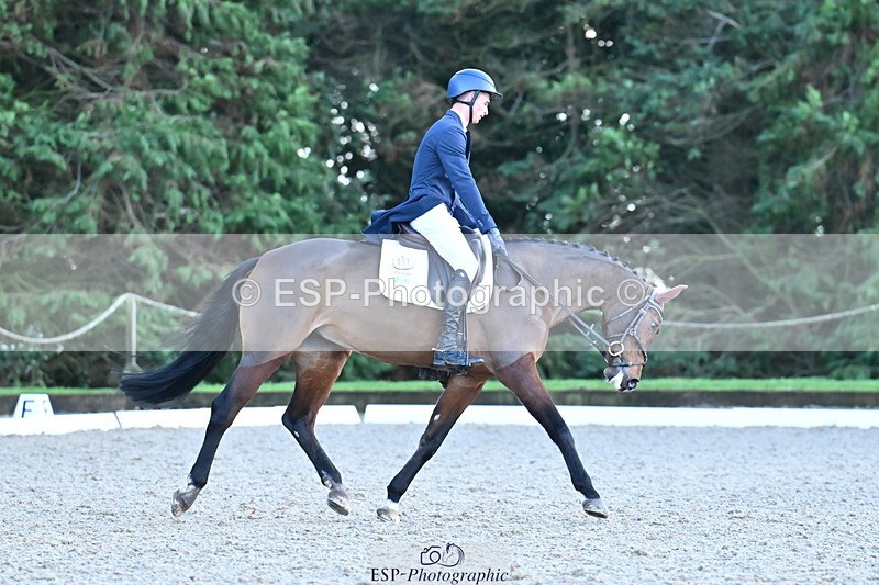 251023A-163940-05919 - A-017-Harrison.Chart