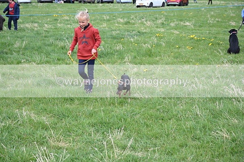 WJ6_8118 - Class 2 Best Pedigree