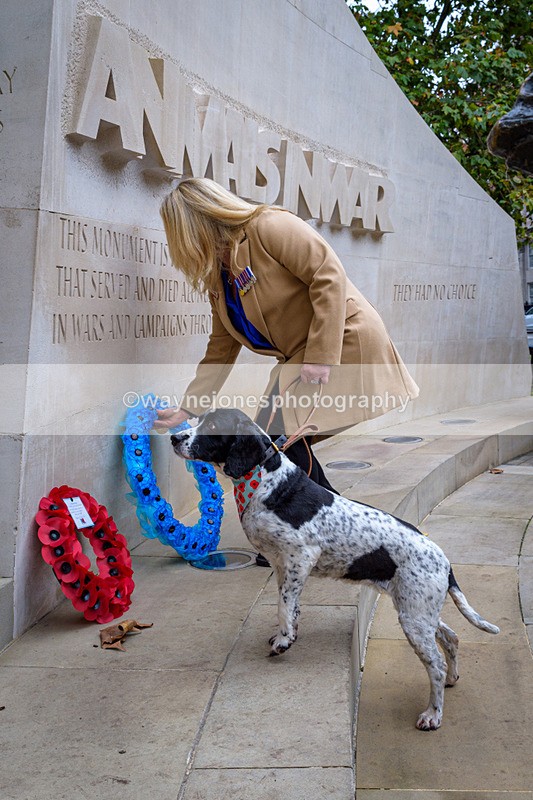 NGP_8263 - 2024 Animals in War Remembrance Gathering