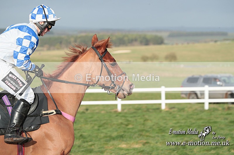 PtP 311223 484 - Larkhill Racing Club Point-to-Point 31/12/23