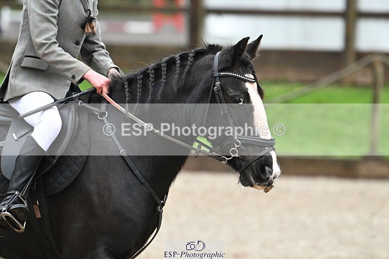 250418A-081150-00039 - NSEA GR 40cm and 50cm