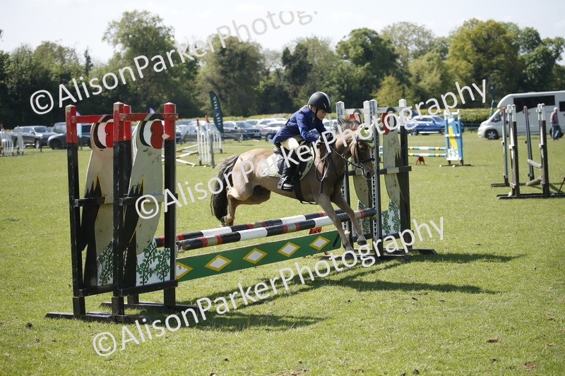 20250427-2258 - Class 13 - Novice Jumping 60cm