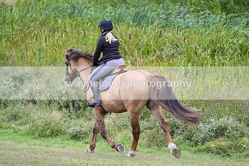 WJ7_6634 - Time 12:15 to 13:21