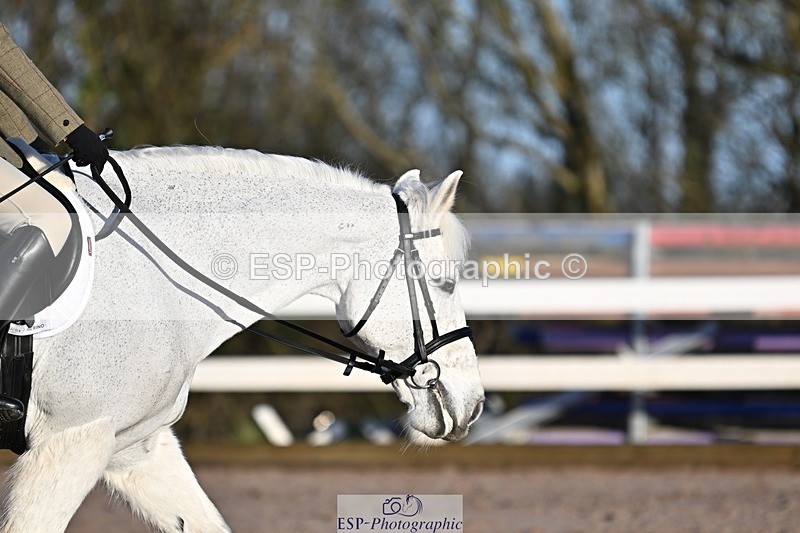 250125-091502-00026 - Dressage - CT Class 1 & 2 Intro 1