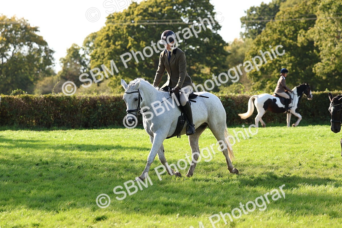 SBM_52429 - S13 - Pony Club Pony