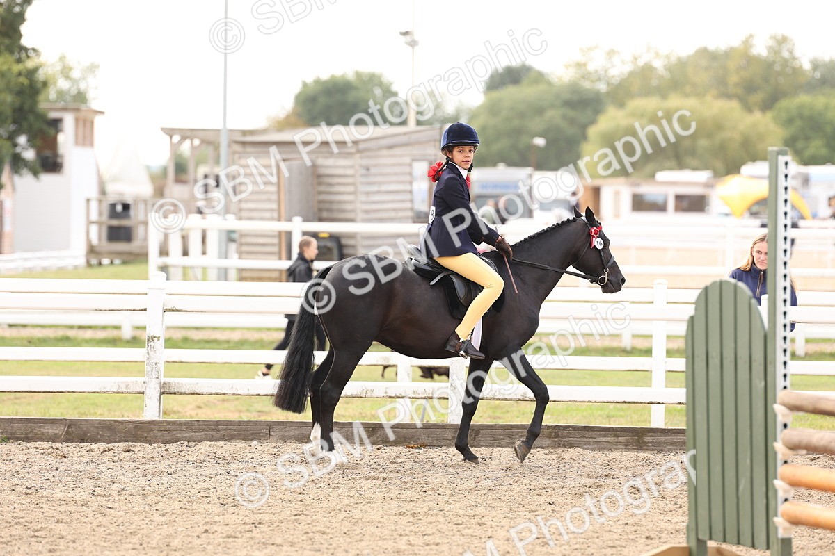 SBM_04253 - Class 54 - Riding Club Horse/Pony
