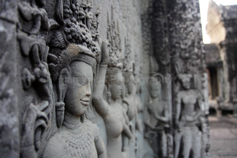 Stone sculpture carvings at Ankor Wat in Cambodia - Cambodia - People, Places and Wildlife