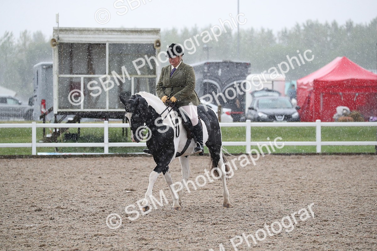 SBM_20494 - Class 601 - 2025 Area - Ridden Diamond