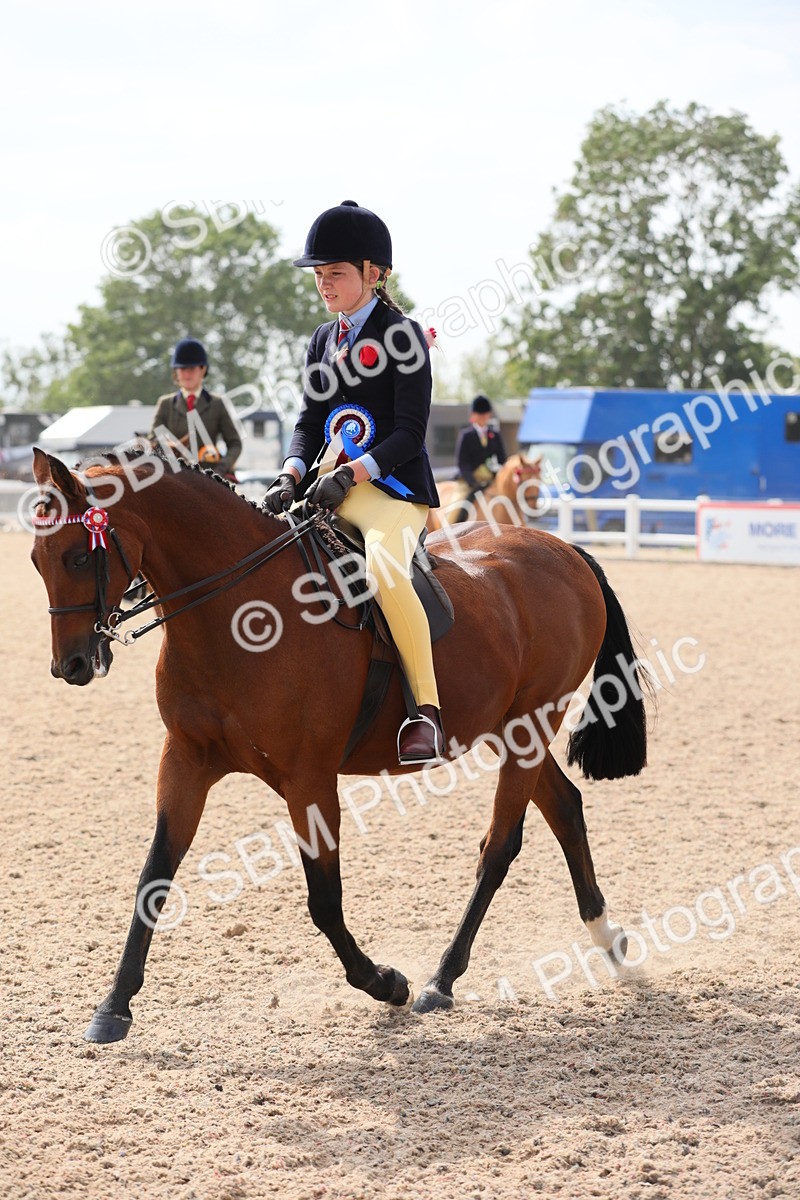 SBM_15630 - Class 311 Ridden Show Pony/ Show Hunter Pony