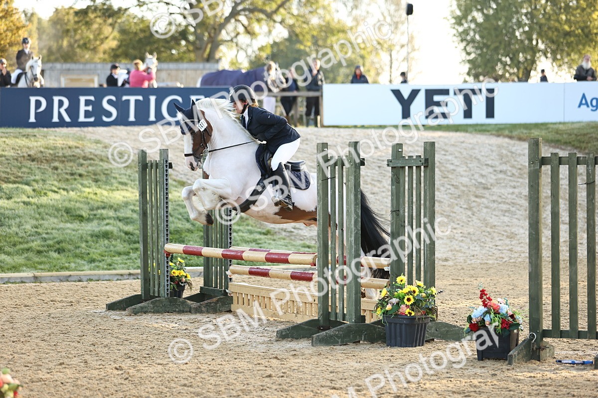 SBM_33005 - J38 - Senior 80cm Championship