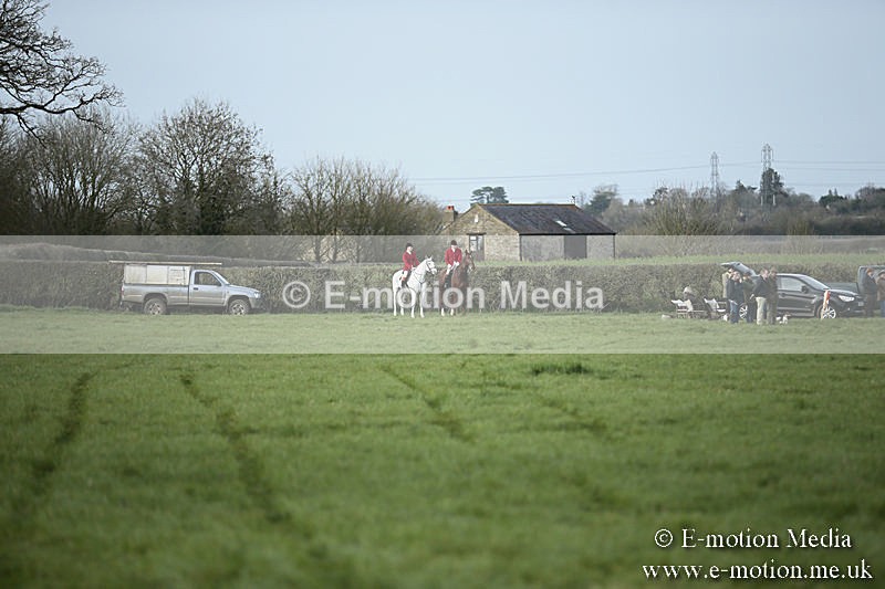 PtP 230319 384 - VWH Hunt Siddington Point-to-Point Racing 23/03/19