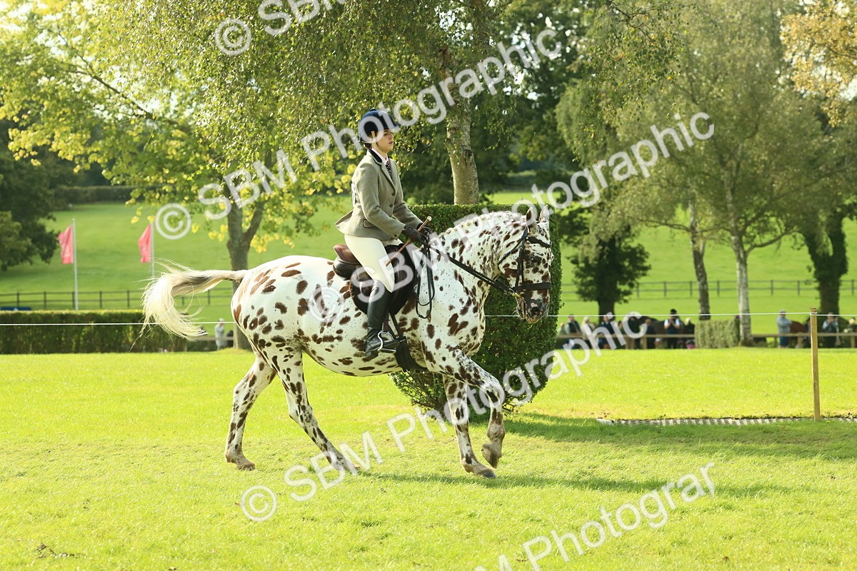 SBM_62405 - S62 - Foreign Breeds Ridden