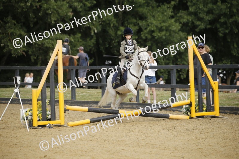 20250622-1451 - 40cm