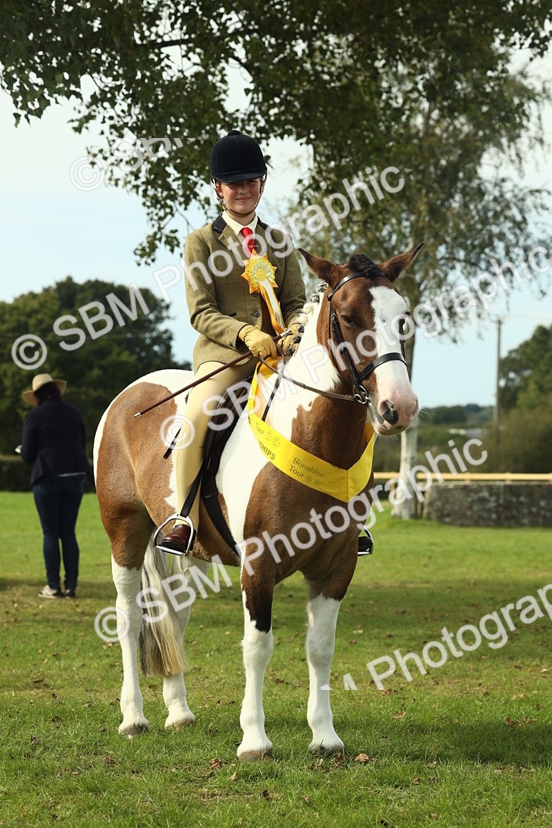 SBM_68139 - S57 - Part Bred Pony Ridden