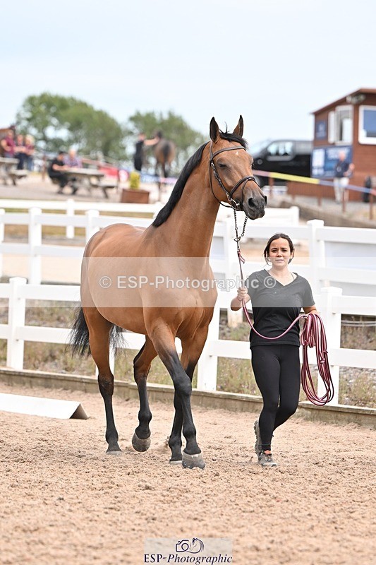 250716-153320-02006 - Trot Up 3.30 to 4.30