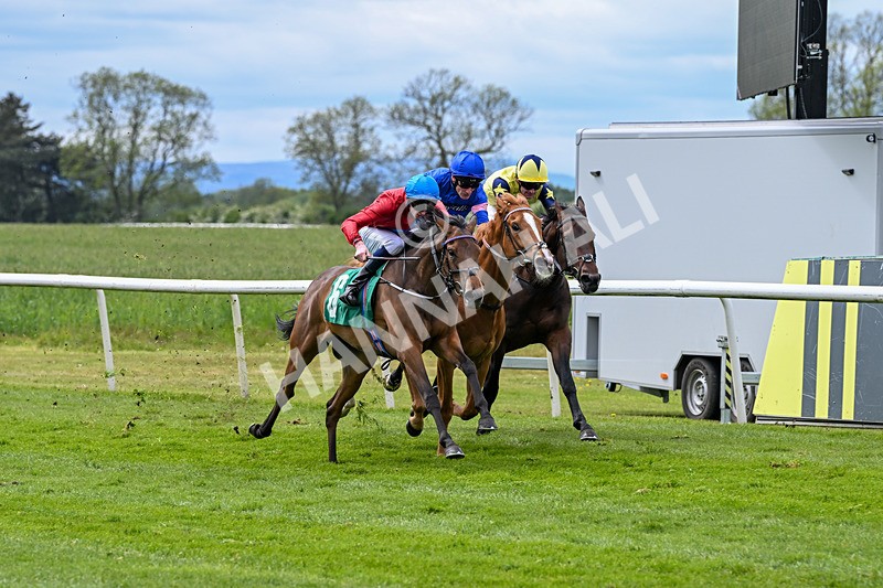 160526-Race 3-Caraway-9525 - Race 3 3.00pm Metaxas Handicap