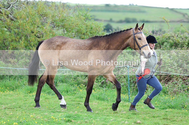 3E7A0827 - In Hand Championship