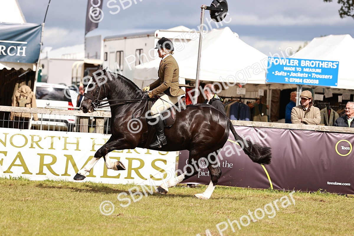 SBM_13118 - Class 85-87 - RIHS Cobs