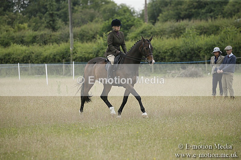 B230619-0329 - Bourne Valley Riding Club Summer Show 23/06/19