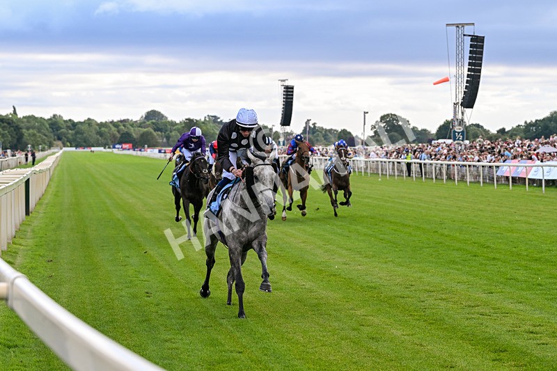 250726-Race 6-Likealot-7679 - Race 6 16.17pm Sky Bet Build A Bet Handicap