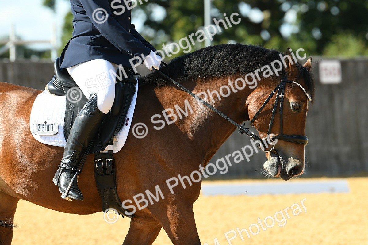 SBM_25019 - D13 - Grand Tour Championship - Prelim 12