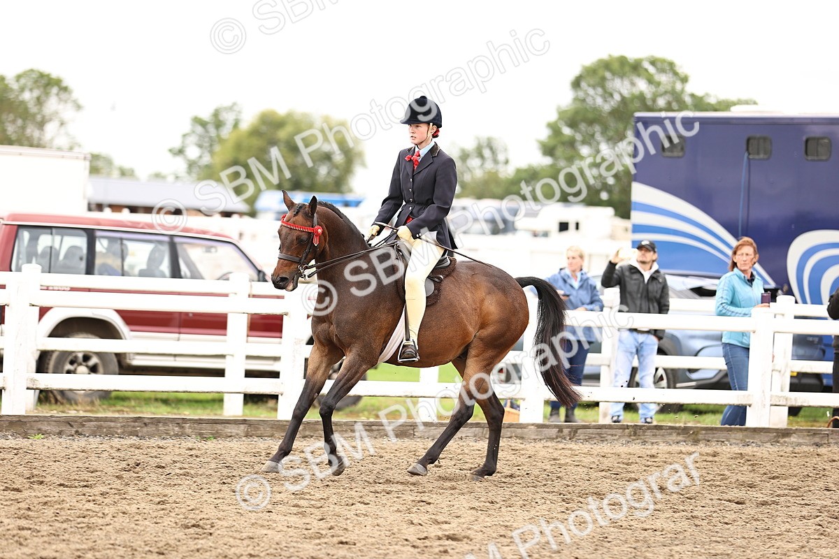 SBM_01369 - Class 54 - Riding Club Horse Pony