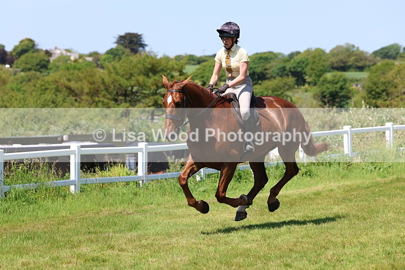 3E7A8092 - Working Hunter Championship