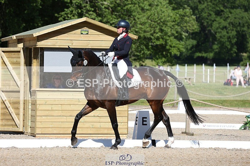 230526-094046-05131 - 357-VIVENDI_HERO-Saffron_Cresswell-WEDTrotUp+DR