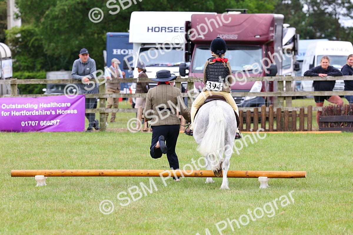 SBM_08203 - Class 42-43 - LIHS BSPS Heritage Working Sports Pony