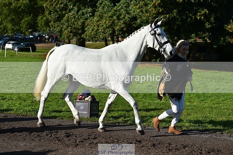 231022-101736-22383 - 488-JEMIMA.J.RAY-Liberty.Turnbull-TrotUp+SJ