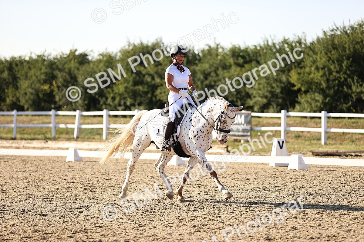 SBM_007830 - Elementary 4 - 17.07-18.22
