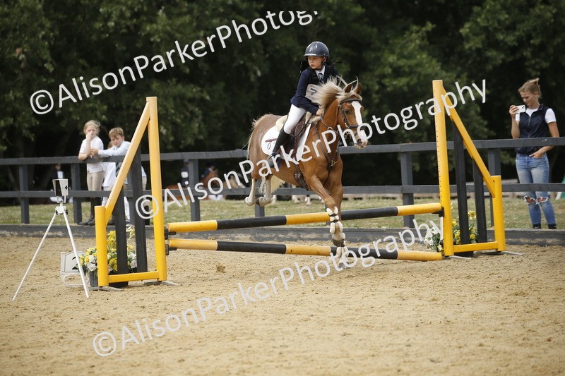 20250622-5926 - 60cm