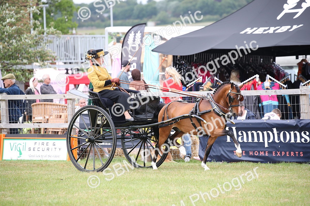 SBM_05908 - Class 12-15 - HOYS Private Driving