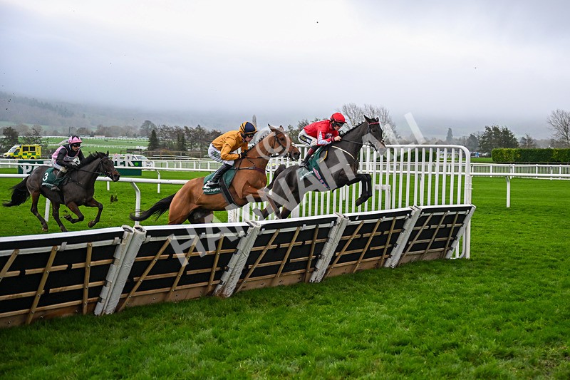 151125-Race 5-Kikijo-3929 - Race 5
